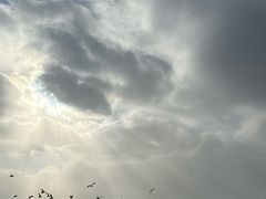 -星海广场