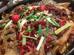 -老板恋上鱼(高新万达店)