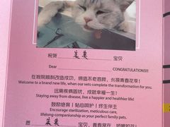 -艾贝尔宠物医院·24H转诊中心·肿瘤猫专科(江宁双龙店)