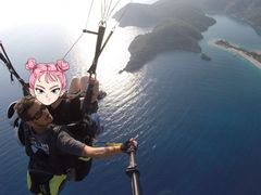 -费特希耶滑翔伞