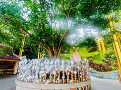 -西双版纳勐泐文化旅游区