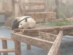 -无锡动物园·太湖欢乐园