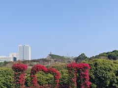 -东莞植物园