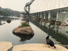 -罗红摄影艺术馆