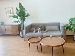 -仰生如卉推拿养生馆(酒仙桥店)