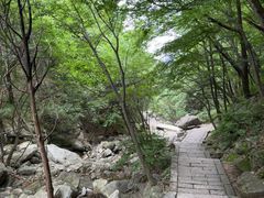 -尧山风景区