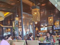 -润园四季椰子鸡火锅(海上世界店)