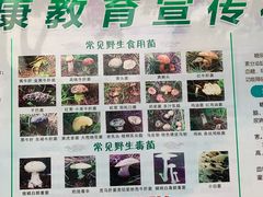 -易门野生菌府·菌海森林(月牙潭公园店)
