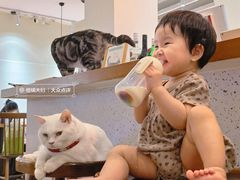 -有猫主题·治愈系猫咖(曾厝垵店)