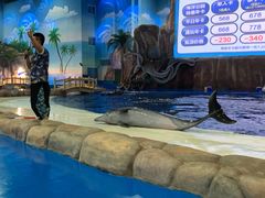 -华夏文旅海洋公园