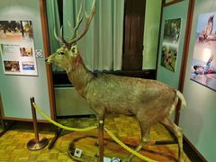 -北海道厅旧本厅舍(旧本庁舎)