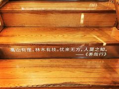 -猫的天空之城概念书店(苏州平江店)