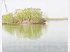 -大兴滨河森林公园