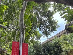 -东南大学(四牌楼校区)