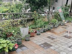 -先机泉水鸡汤(南山老君洞店)