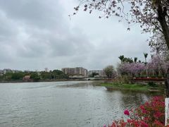 -梅州天地人花园酒店(梅县人民广场店)