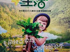 -澳洲袋鼠早教(金辉环球广场店)
