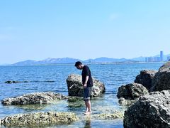 -养马岛旅游度假区