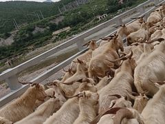 -十渡东湖港风景区