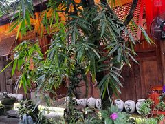 -青城甲(青城山店)