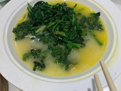 黄汤菜尖-金鼎轩(亚运村店)