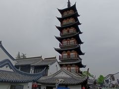-嘉定紫藤园