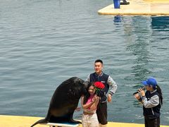 -秦皇岛乐岛海洋王国