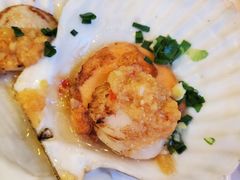 -碧中海汤泉汗蒸酒店