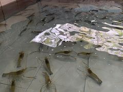 -小象钓虾·营地烧烤(洛溪店)