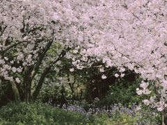 -苏州上方山国家森林公园