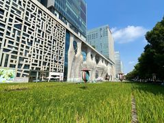 -证大喜玛拉雅中心