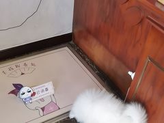 -宠爱国际动物医院·疑难骨科·心肾内科·皮肤科(太阳宫店)