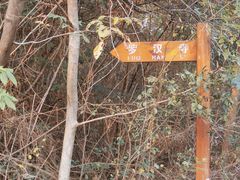 -青龙山国家森林公园