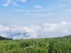 -白草畔自然风景区