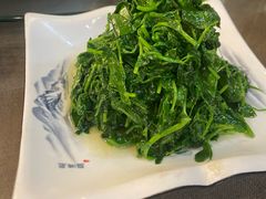 炒豆苗-广迎居老正兴菜馆