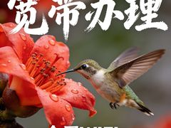 -闪电修企业手机电脑回收(西湖风景名胜区店)