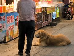 -厦门国家会计学院