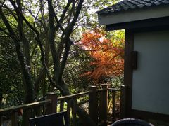 -穹窿山景区