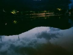 -梧桐庄园