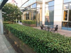 大堂-FACE·日本小颜矫正美容整骨サロン