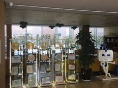 -北京临空智选假日酒店