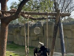 -上海野生动物园