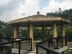 -泉州海丝野生动物世界