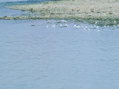 -成都南湖公园