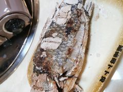 -顺德哥卜卜贝(旗舰店)