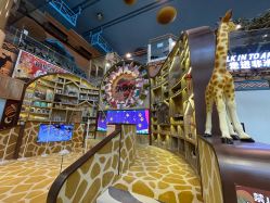 -卡通尼·Safari非洲探索乐园·生日会(金桥国际商业广场店)
