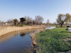 -安德鲁户外烧烤帐篷营地(马泉营店)