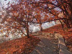 -北京十三陵国家森林公园蟒山景区