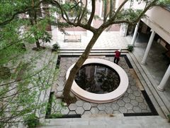 -香港大学