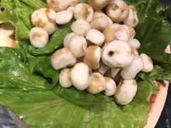 -凤园椰珍·臻品椰子鸡(保利时光里店)
